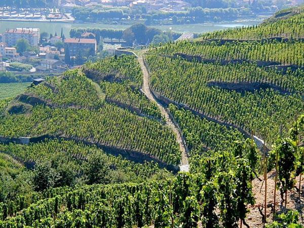 Gite Abricotier Crozes-Hermitage Экстерьер фото